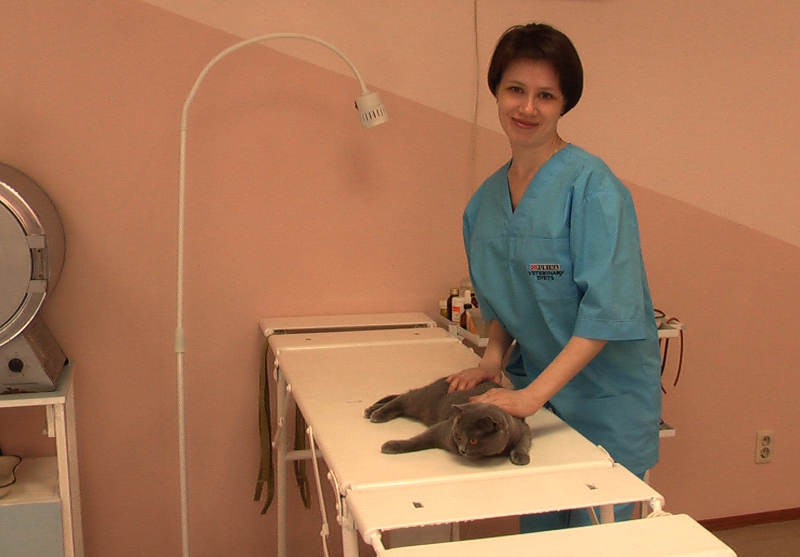 Ветеринарная клиника "Доктор ВЕТ" Стерилизация кошек